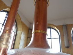p1000484