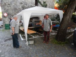 brunnenfest10